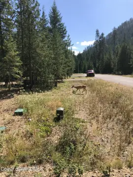 Priest Lake Land For Sale