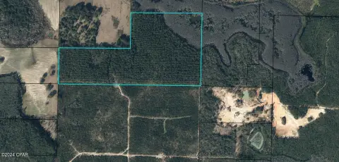 Vernon, FL Land For Sale