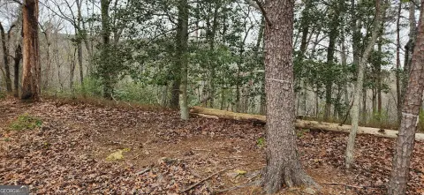 Residential Lot Near Lake Rabun