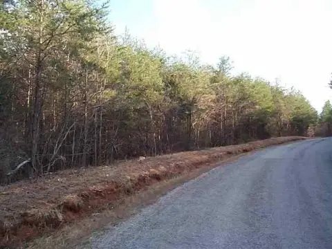 Decatur Land with Road Frontage
