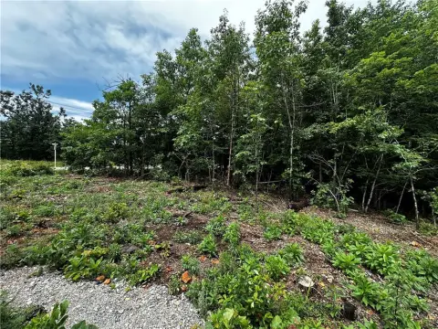 Corner Residential Lot