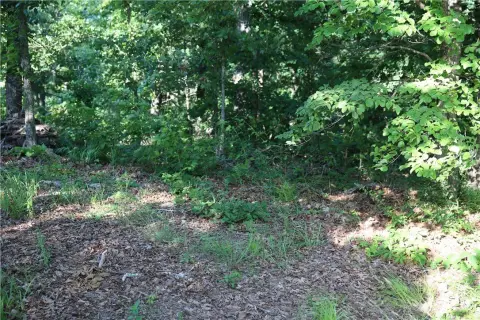 Cul-de-Sac Residential Lot