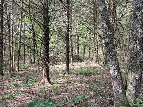 Residential Building Lot in Bear Hollow