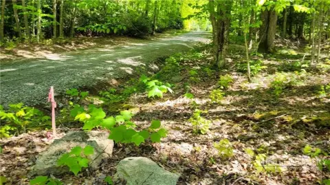 Acre Lot on Beech Mountain