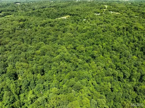 Wooded Recreational Land with Road Access