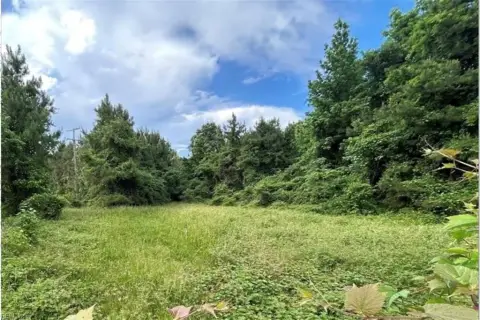 55-Acre Agricultural Land with Lake