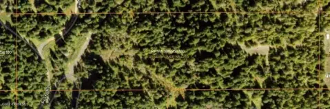 Secluded Timbered Acres in St. Maries