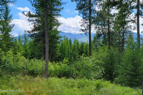 North Idaho Land with Mountain Views