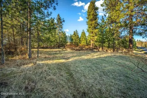 Coeur d'Alene Acreage with Views