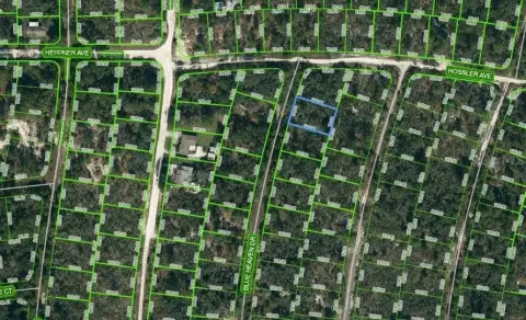 Residential Land in Lake Placid