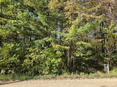 Land Near Wixom Lake