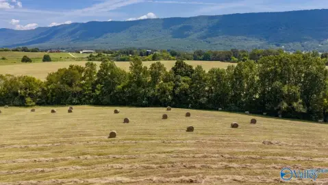Agricultural Land Along a Creek