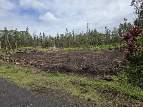 Cleared Land in Pahoa, HI