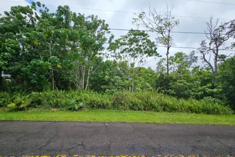 Vacant Residential Lot with Paved Access