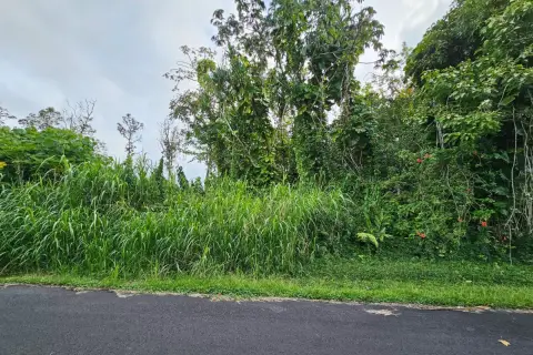 Residential Land Lot in Hawaiian Beaches