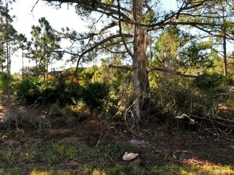 Vacant Lot in North Port
