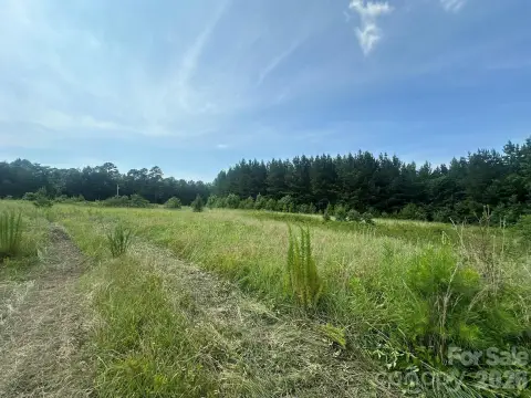 20 Acres in Iron Station