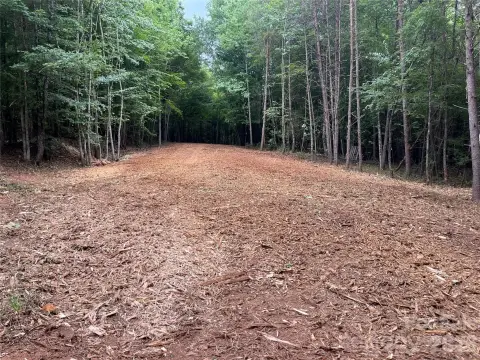 Recreational Land Tract with Creek Access