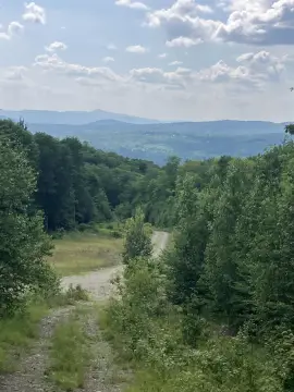 Recreational Hunting Land with Camp