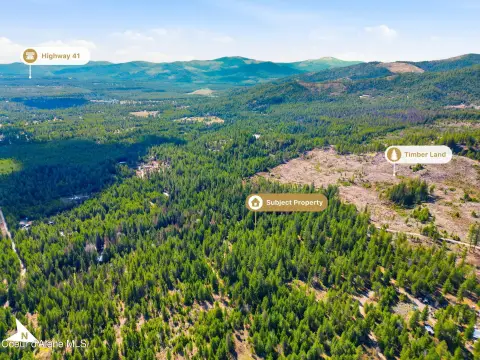 Spirit Lake Treed Land Parcel