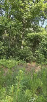 Residential Lot in North Augusta