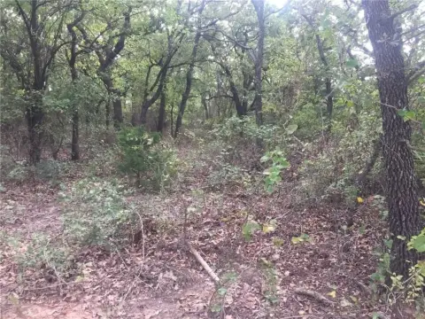 252.5 Acres North Texas Ranch