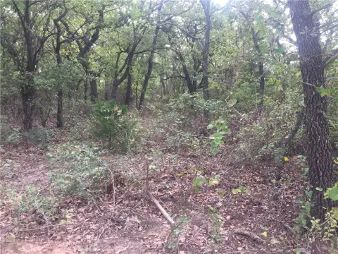 Recreational Hunting Land with Creek Frontage