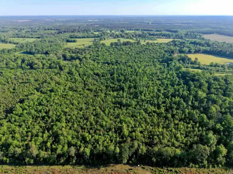 92-Acre Land Tract For Sale