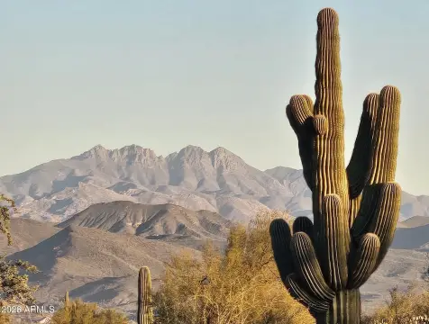 Level Split-Capable Desert Lot