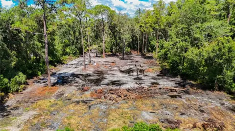 Vacant Lot Near Upper Tampa