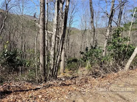 Land in West Jefferson, NC