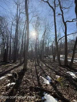 Pocono Lake Wooded Lot