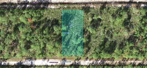Land in Indian Lake Estates