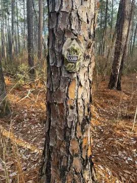 Perdido AL Vacant Land Tract