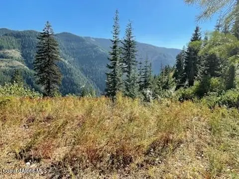 Recreational Land in Wallace, Idaho