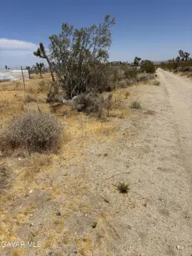 Undeveloped Agricultural Land Parcel