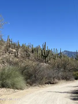 Rincon Foothills Desert Homesite