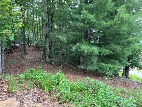 Residential Lot in Murphy, NC