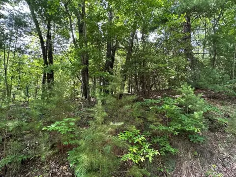 2.67-Acre Wooded Mountain Lot