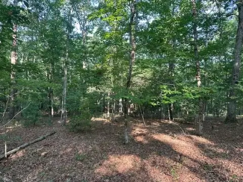 Wooded Lot in Rural Subdivision