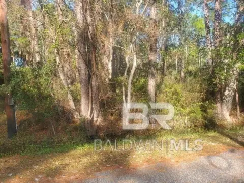 Dauphin Island Land Opportunity
