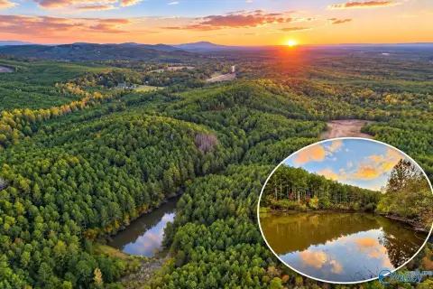 Timberland with Pond