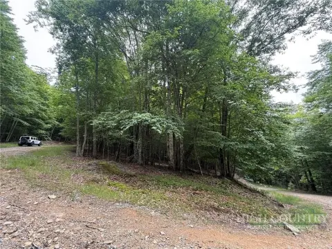 Wooded Mountain Lot with Gentle Build Site