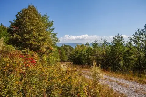 Mountain View Lot in Murphy