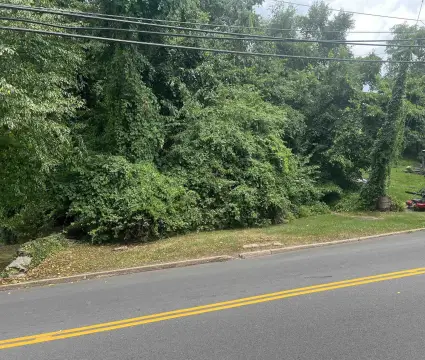 Land in Narrows, Virginia