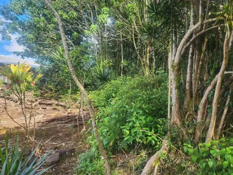 Pahoa Land Parcel For Sale