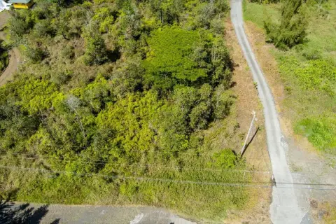 Kurtistown, HI - 3 Acre Land