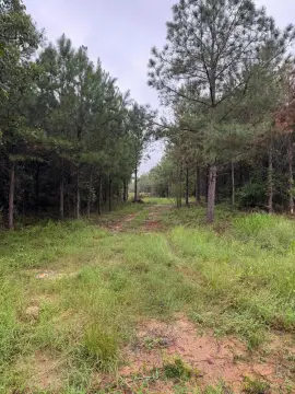 Waynesboro Land Near Vogtle