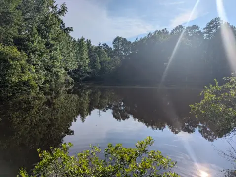 Residential Land Parcel with Pond