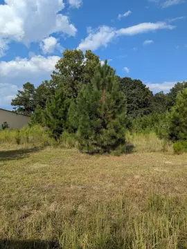 Augusta Land For Sale